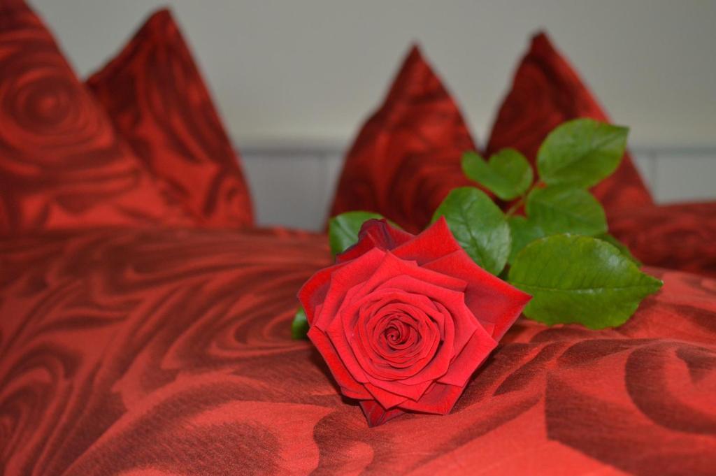 Hotel Zum Kreuz Aarau Rom bilde
